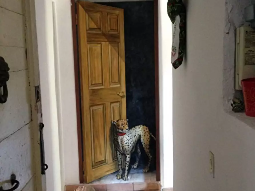 Immagine 14 di Appartamento in affitto  in Via di San Francesco di Sales a Roma