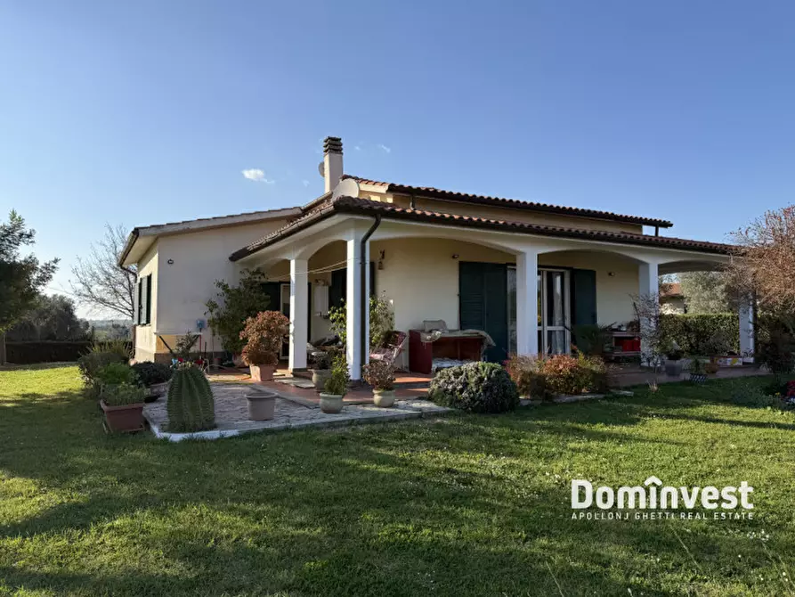 Immagine 1 di Villa in affitto  in Poggio cavallucciaro a Montalto Di Castro
