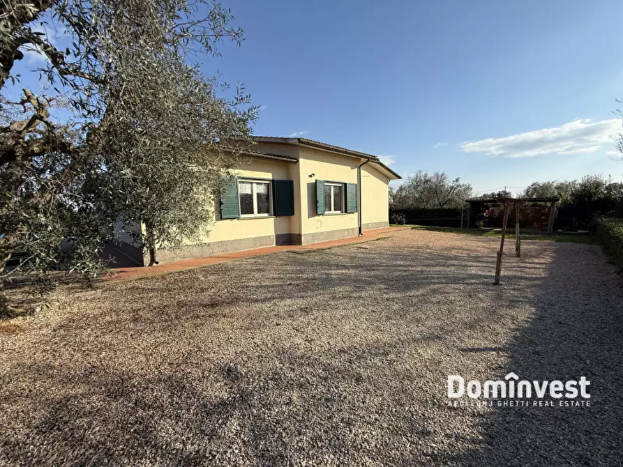 Immagine 13 di Villa in affitto  in Poggio cavallucciaro a Montalto Di Castro