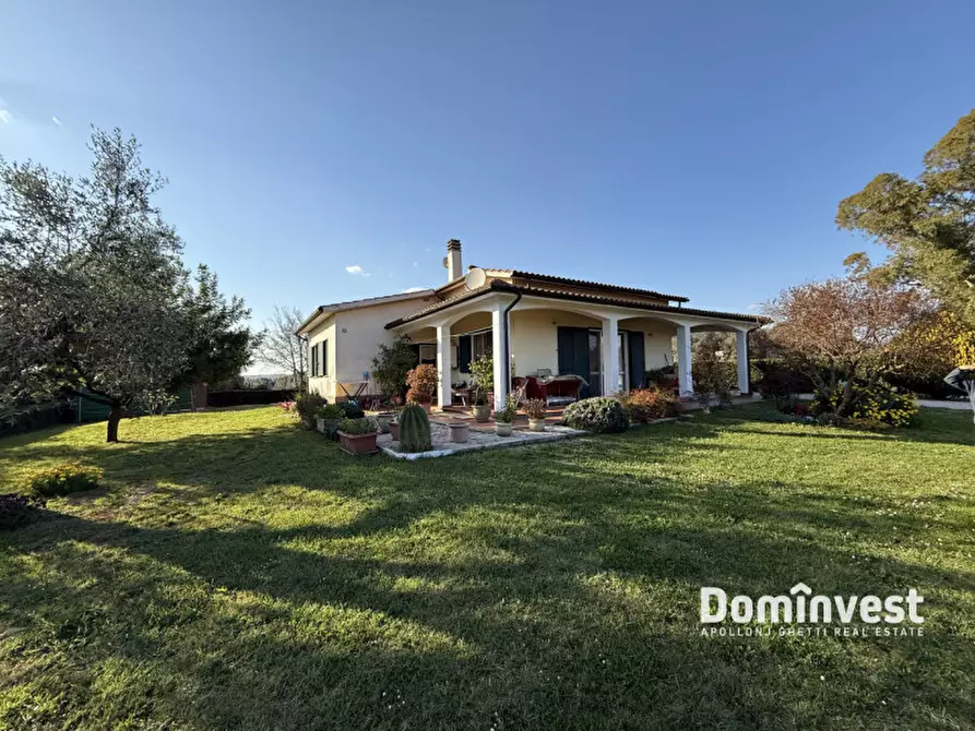 Immagine 14 di Villa in affitto  in Poggio cavallucciaro a Montalto Di Castro