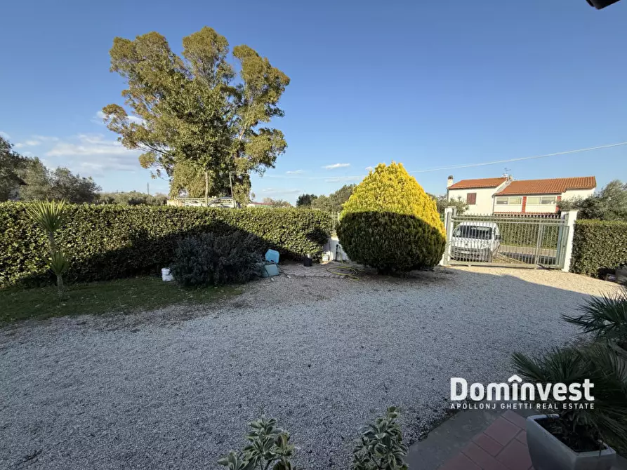 Immagine 16 di Villa in affitto  in Poggio cavallucciaro a Montalto Di Castro