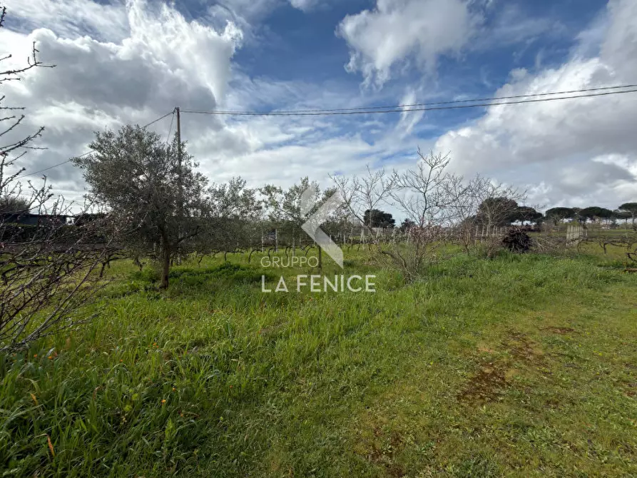 Immagine 14 di Rustico / casale in vendita  in Strada Trasconi a Martina Franca