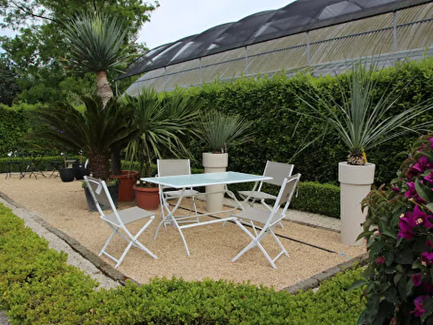 Immagine 4 di Appartamento in vendita  in Via Pergolette a Lozzo Atestino