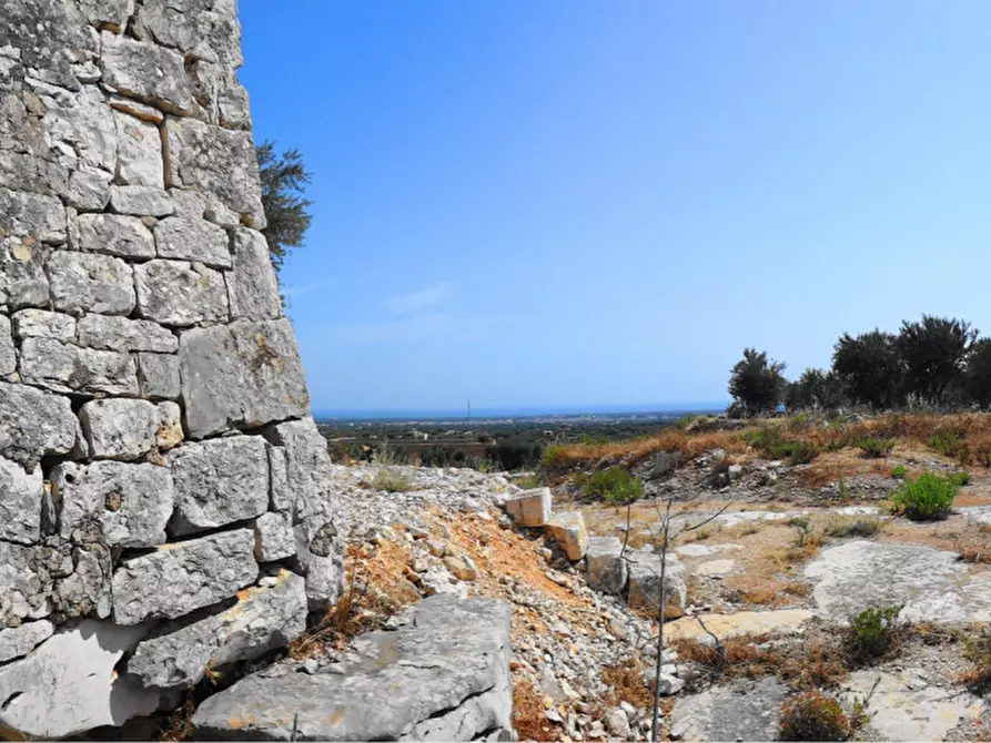 Immagine 1 di Rustico / casale in vendita  in c.da salamina a Fasano