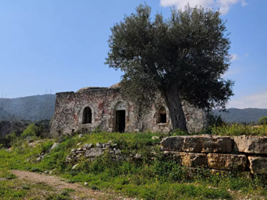 Immagine 2 di Rustico / casale in vendita  in c.da salamina a Fasano