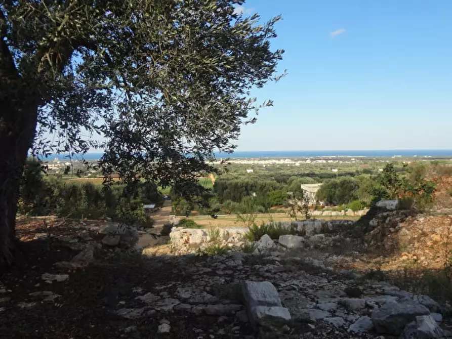 Immagine 5 di Rustico / casale in vendita  in c.da salamina a Fasano
