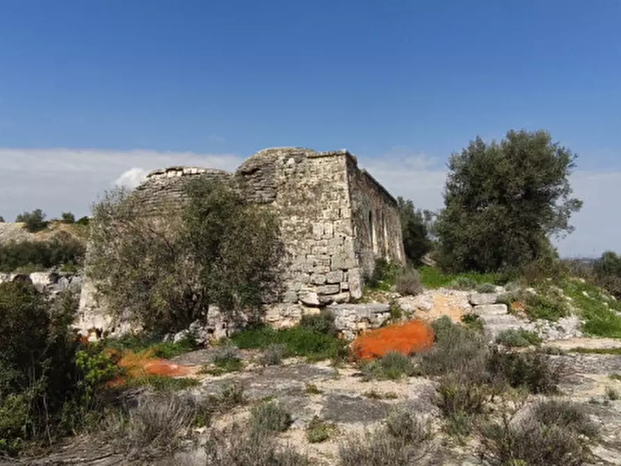 Immagine 6 di Rustico / casale in vendita  in c.da salamina a Fasano