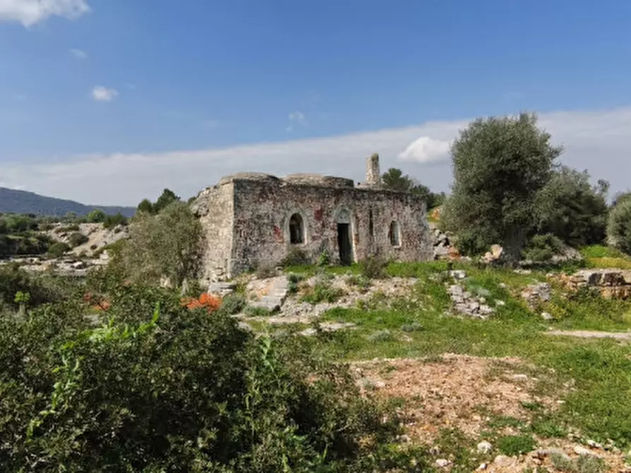 Immagine 7 di Rustico / casale in vendita  in c.da salamina a Fasano