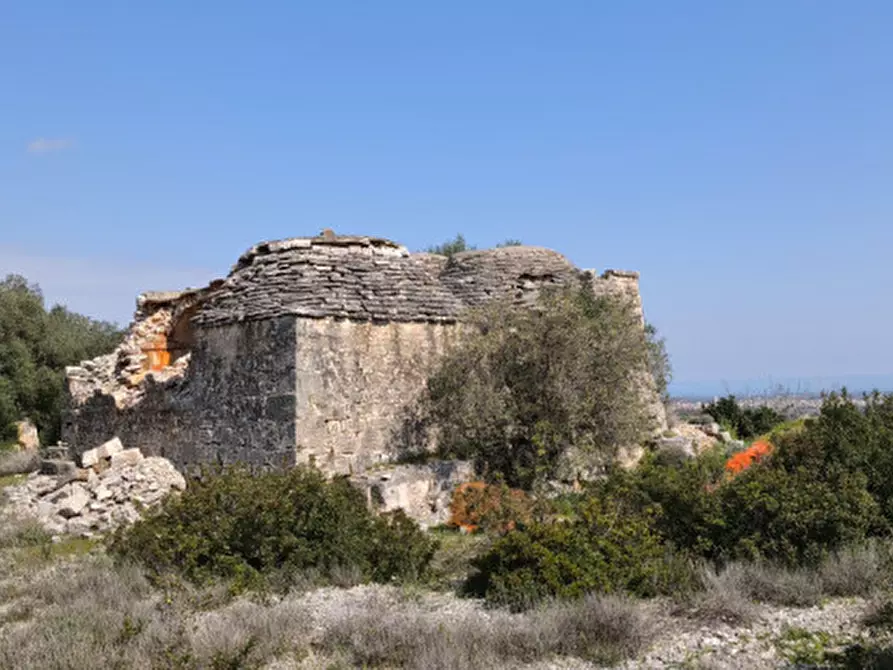 Immagine 9 di Rustico / casale in vendita  in c.da salamina a Fasano