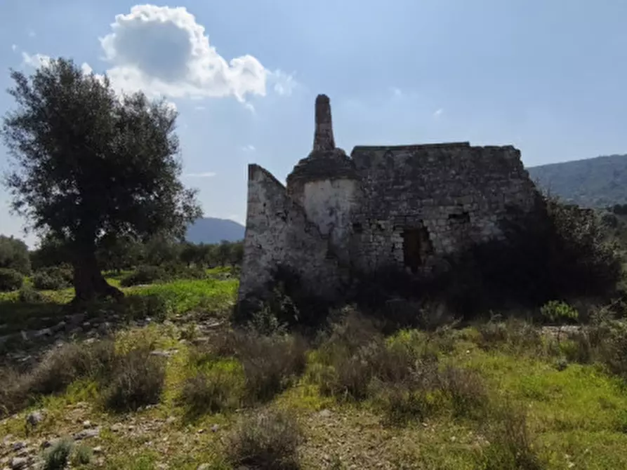 Immagine 14 di Rustico / casale in vendita  in c.da salamina a Fasano