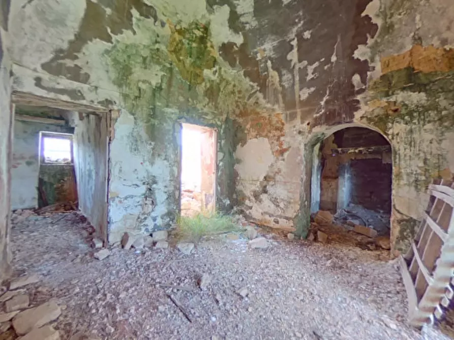 Immagine 18 di Rustico / casale in vendita  in c.da salamina a Fasano