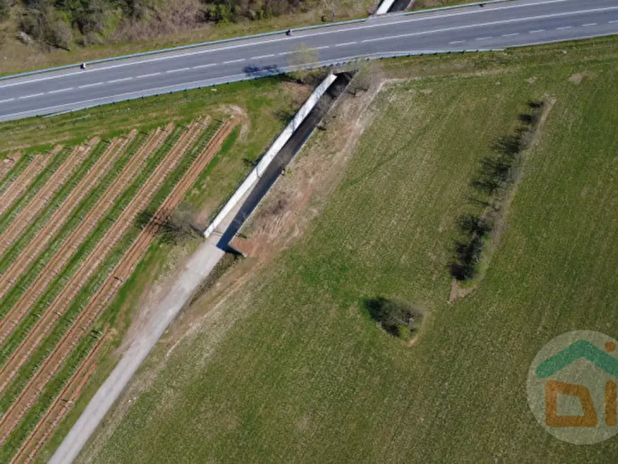 Immagine 10 di Terreno in vendita  in Via Aquileia a Cormons