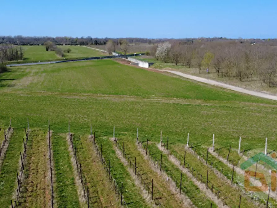 Immagine 3 di Terreno in vendita  in Via Aquileia a Cormons