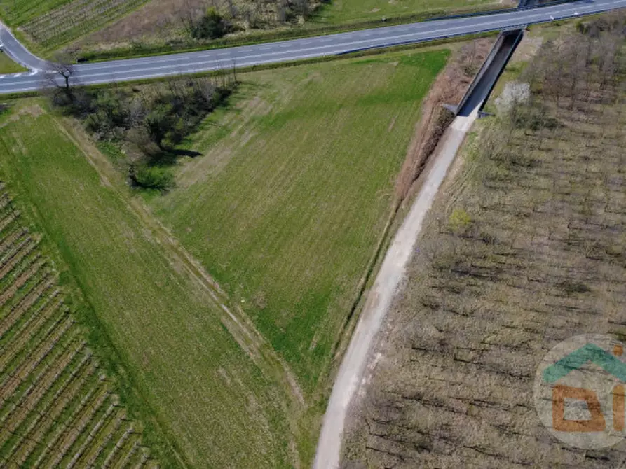 Immagine 9 di Terreno in vendita  in Via Aquileia a Cormons