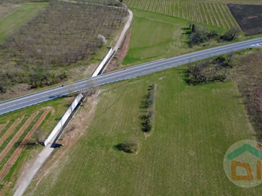 Immagine 17 di Terreno in vendita  in Via Aquileia a Cormons