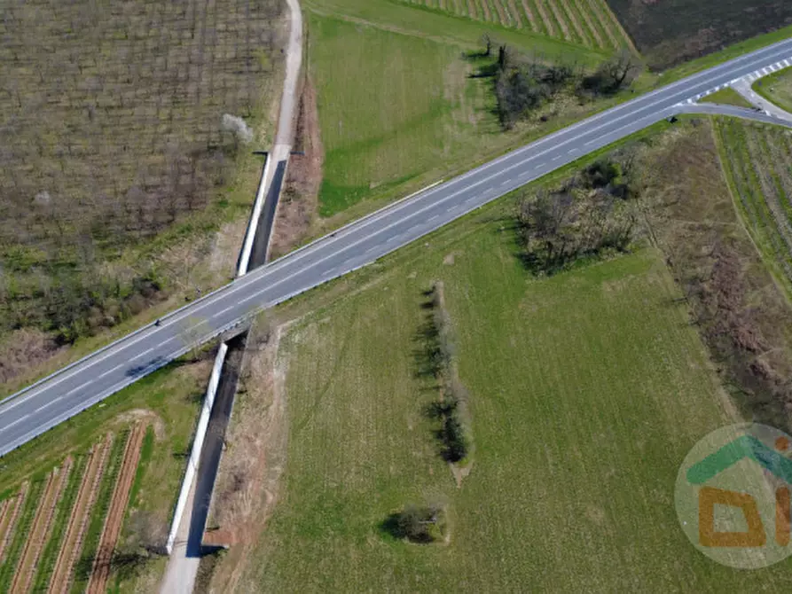 Immagine 3 di Terreno in vendita  in Via Aquileia a Cormons