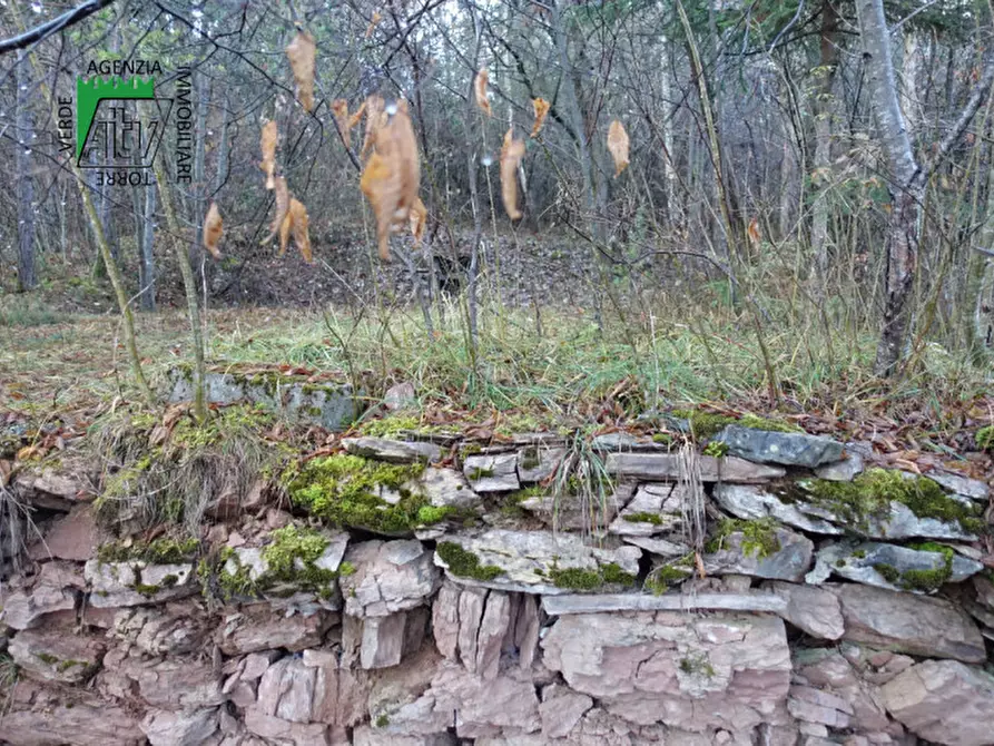 Immagine 14 di Rustico / casale in vendita  in Predaia Via Della Bonifica a Predaia