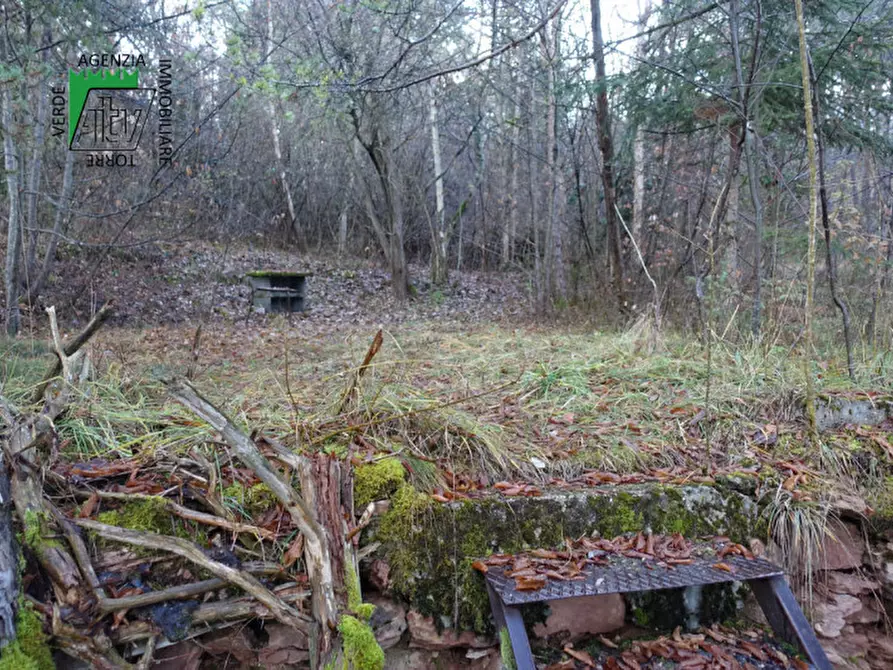 Immagine 15 di Rustico / casale in vendita  in Predaia Via Della Bonifica a Predaia