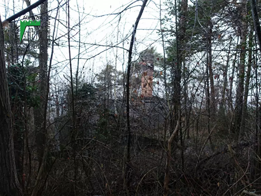 Immagine 17 di Rustico / casale in vendita  in Predaia Via Della Bonifica a Predaia