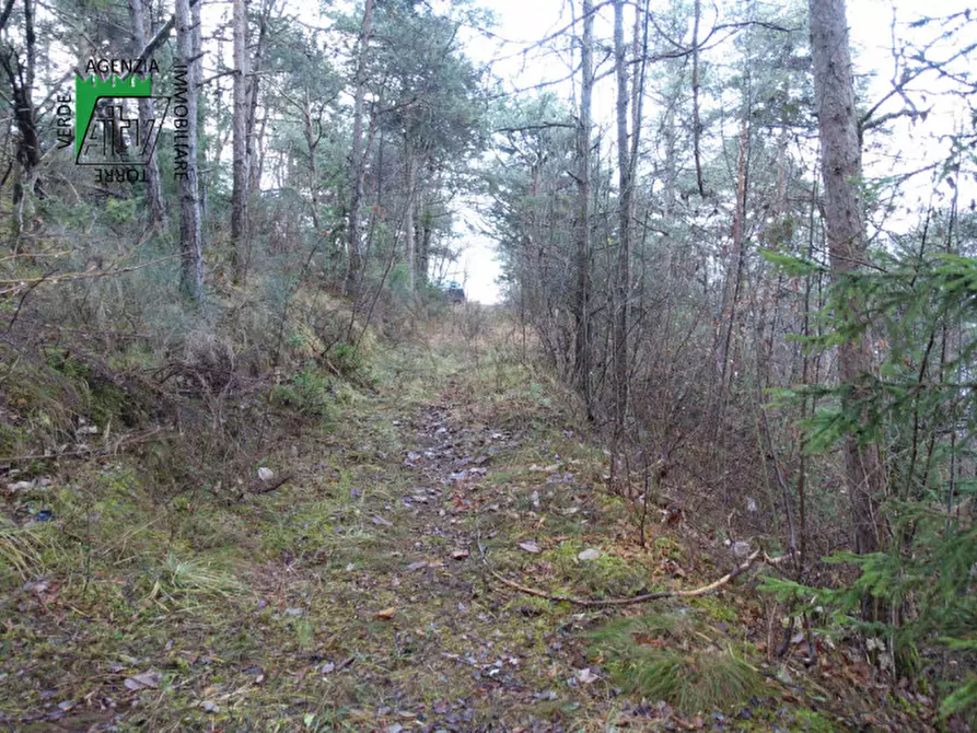 Immagine 18 di Rustico / casale in vendita  in Predaia Via Della Bonifica a Predaia