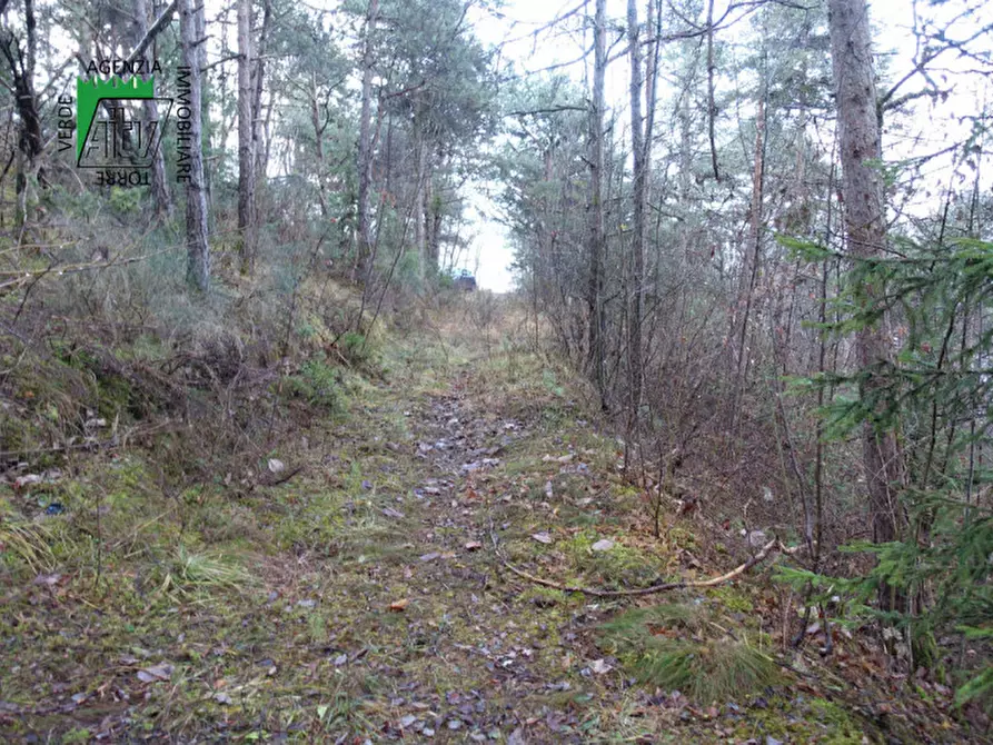 Immagine 19 di Rustico / casale in vendita  in Predaia Via Della Bonifica a Predaia