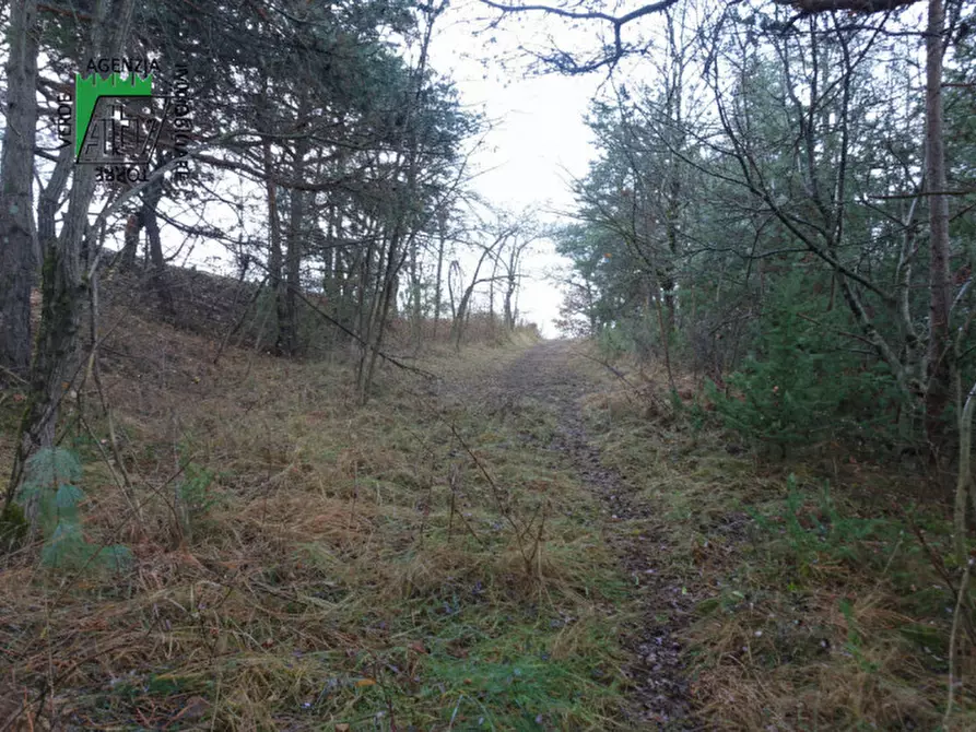 Immagine 20 di Rustico / casale in vendita  in Predaia Via Della Bonifica a Predaia