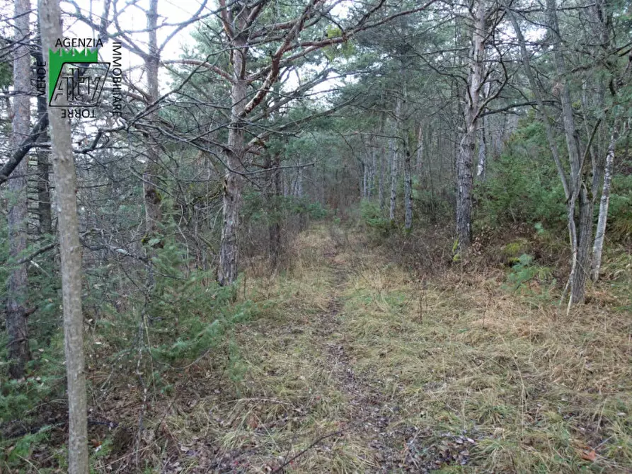 Immagine 21 di Rustico / casale in vendita  in Predaia Via Della Bonifica a Predaia