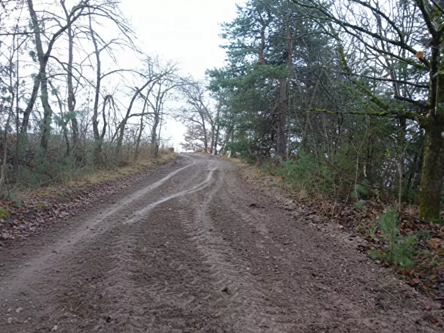 Immagine 22 di Rustico / casale in vendita  in Predaia Via Della Bonifica a Predaia