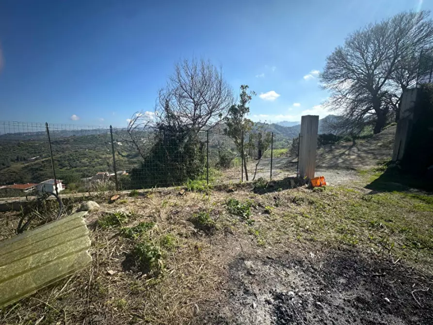 Immagine 4 di Terreno in vendita  in Via serro bitto a Condrò