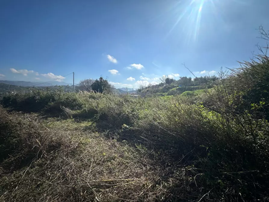 Immagine 8 di Terreno in vendita  in Via serro bitto a Condrò