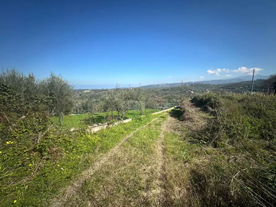 Immagine 9 di Terreno in vendita  in Via serro bitto a Condrò