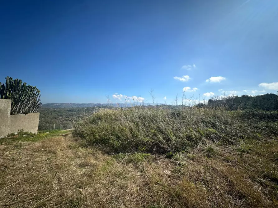 Immagine 11 di Terreno in vendita  in Via serro bitto a Condrò