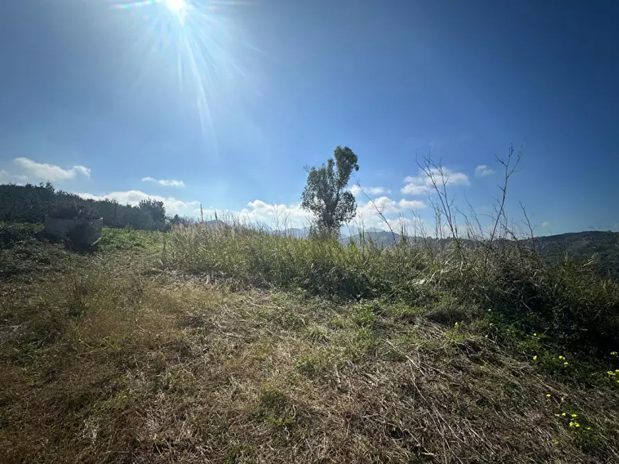 Immagine 12 di Terreno in vendita  in Via serro bitto a Condrò