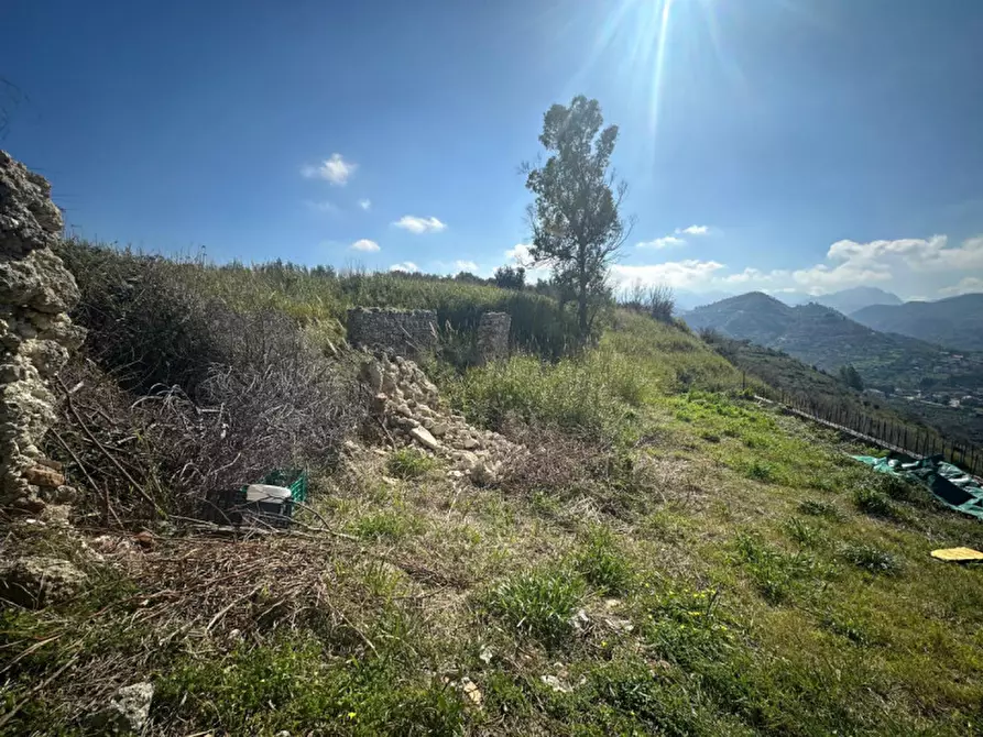Immagine 15 di Terreno in vendita  in Via serro bitto a Condrò