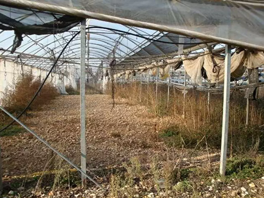 Immagine 9 di Terreno in vendita  in Strada La Rizza a Villafranca Di Verona