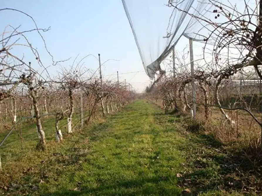 Immagine 11 di Terreno in vendita  in Strada La Rizza a Villafranca Di Verona
