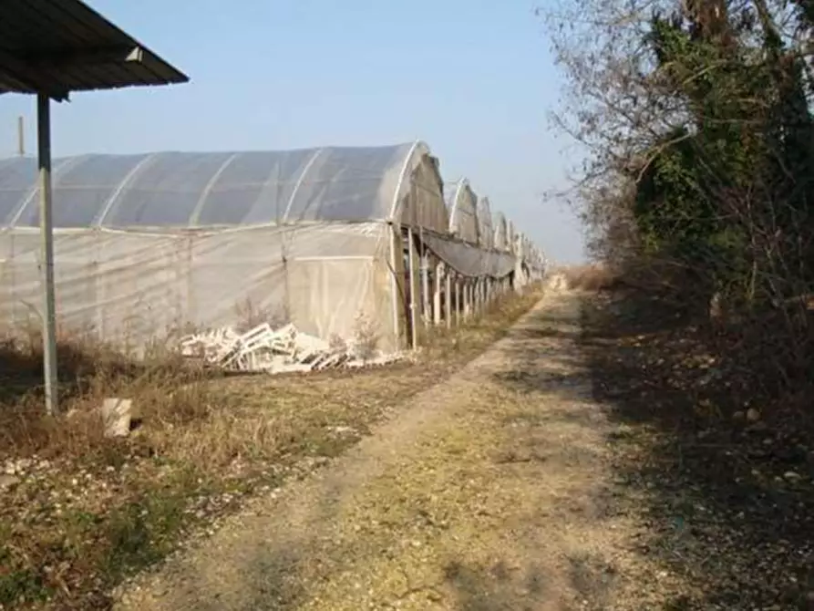 Immagine 13 di Terreno in vendita  in Strada La Rizza a Villafranca Di Verona