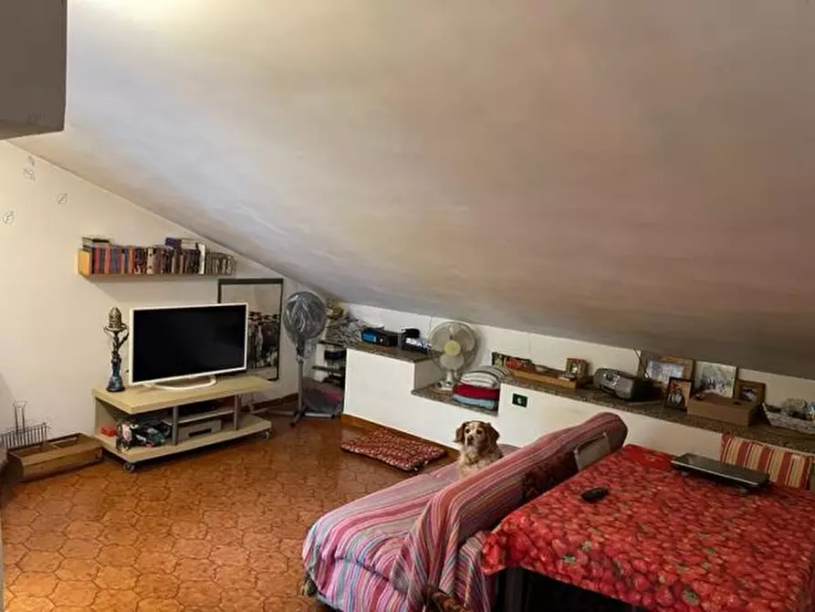 Immagine 9 di Appartamento in vendita  in Contrada Piano Battista - 03010 Sgurgola (FR) a Sgurgola