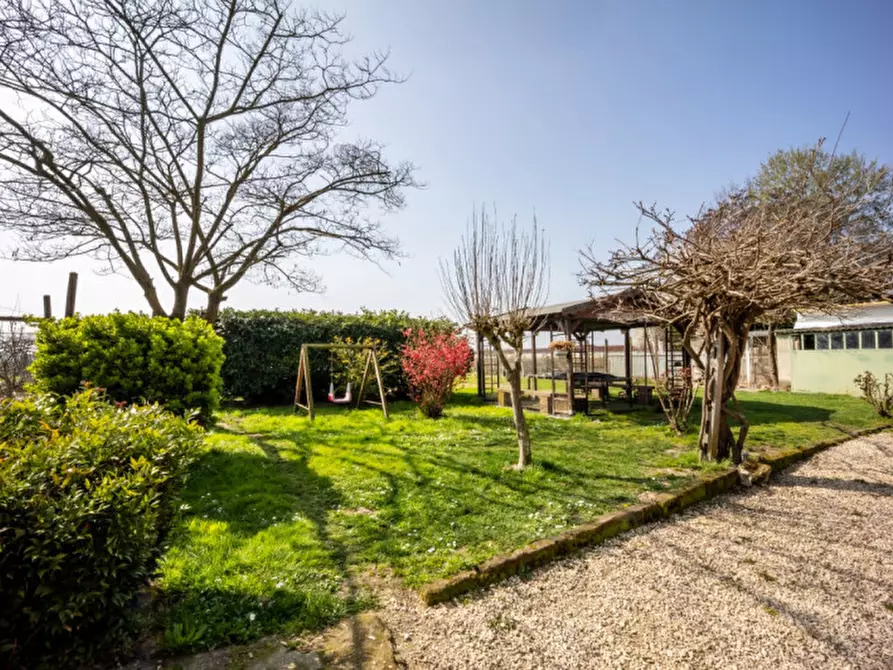 Immagine 13 di Casa indipendente in vendita  in VIA SANT'APOLLONIA a Cologna Veneta