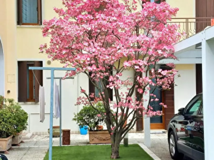 Immagine 1 di Villetta a schiera in vendita  in Via San Pio X 34/A a Castelfranco Veneto