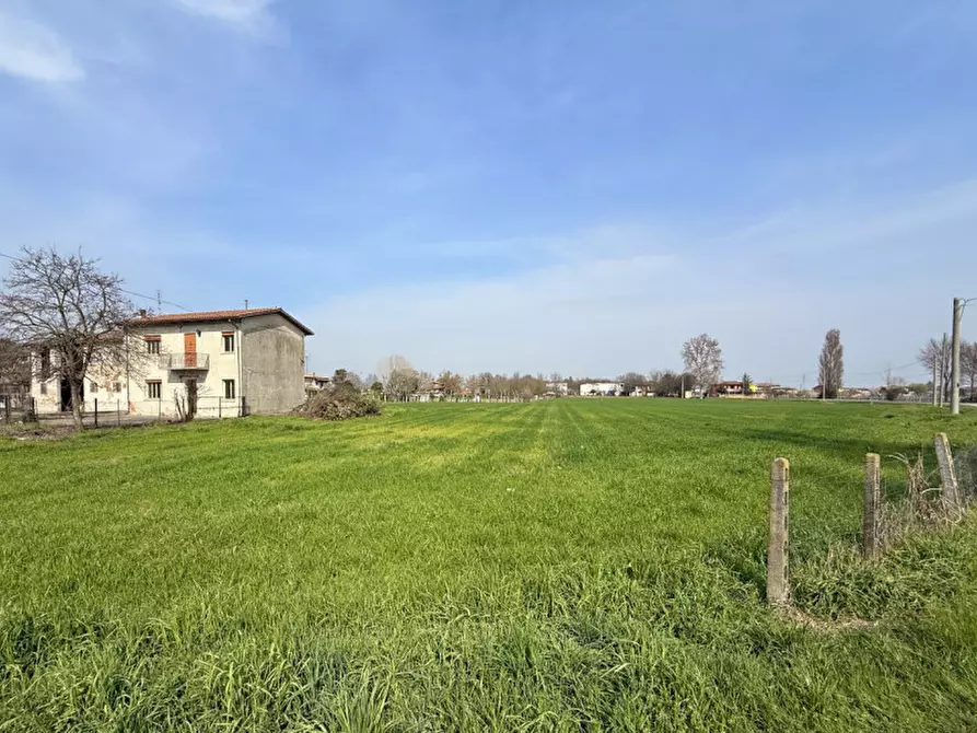 Immagine 3 di Terreno in vendita  in via cuoro a Solesino