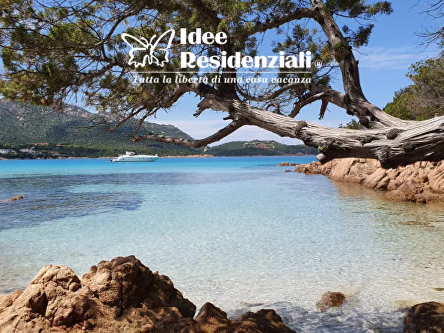 Immagine 5 di Casa indipendente in vendita  a Arzachena