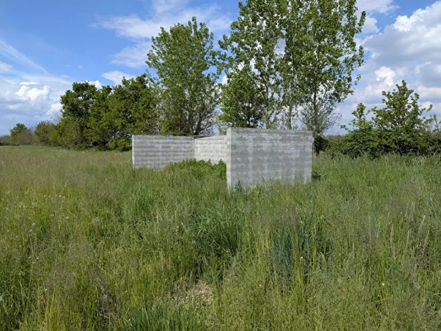 Immagine 3 di Agriturismo in vendita  in Cascina Moretta, 1, 28015 Momo NO, Italia a Momo