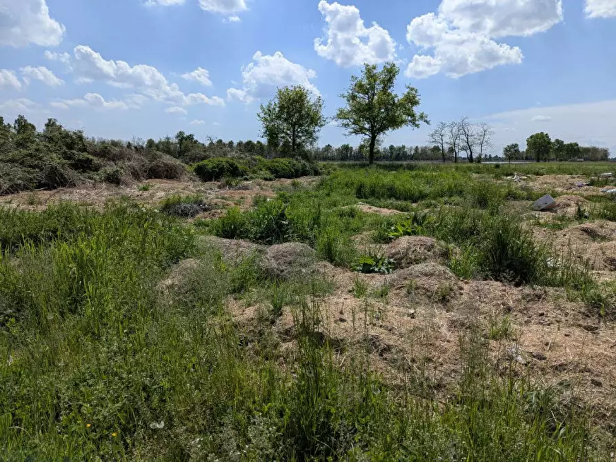 Immagine 4 di Agriturismo in vendita  in Cascina Moretta, 1, 28015 Momo NO, Italia a Momo