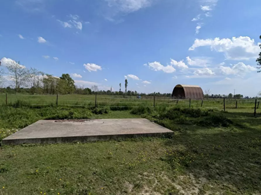 Immagine 5 di Agriturismo in vendita  in Cascina Moretta, 1, 28015 Momo NO, Italia a Momo