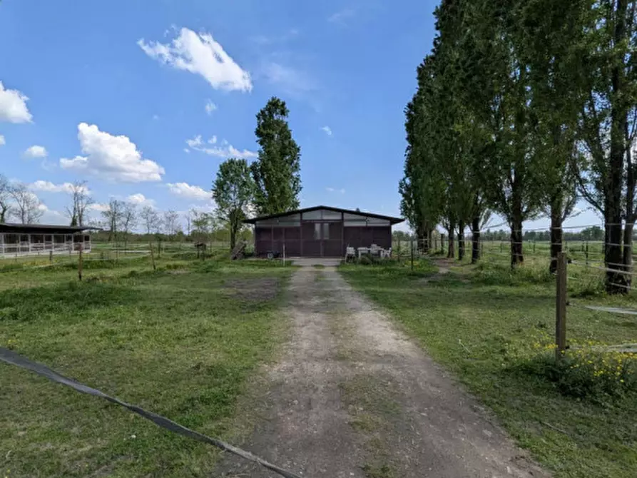 Immagine 6 di Agriturismo in vendita  in Cascina Moretta, 1, 28015 Momo NO, Italia a Momo