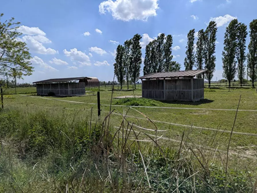 Immagine 10 di Agriturismo in vendita  in Cascina Moretta, 1, 28015 Momo NO, Italia a Momo