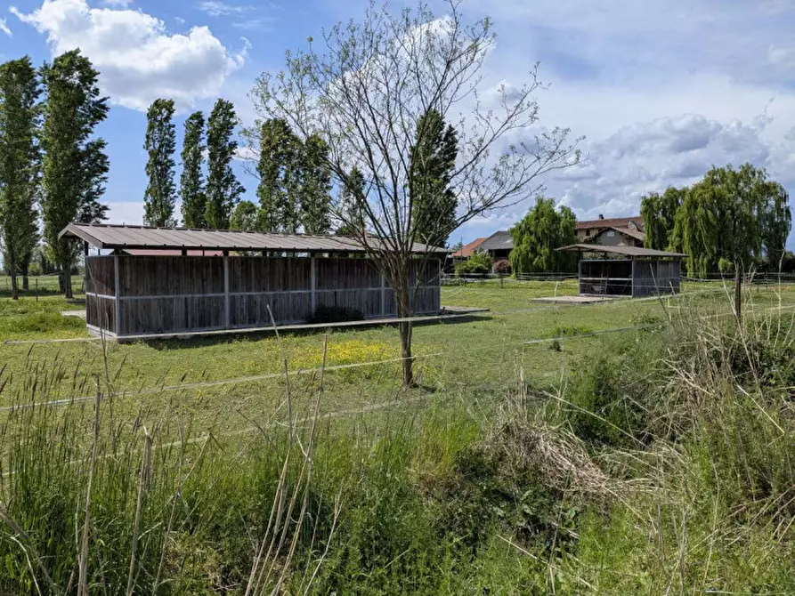 Immagine 11 di Agriturismo in vendita  in Cascina Moretta, 1, 28015 Momo NO, Italia a Momo