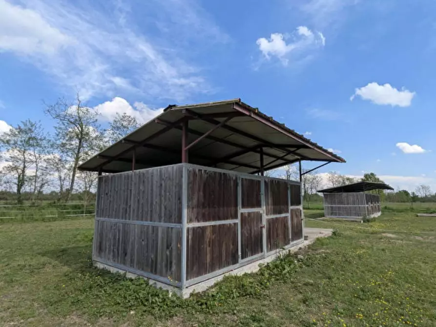 Immagine 12 di Agriturismo in vendita  in Cascina Moretta, 1, 28015 Momo NO, Italia a Momo