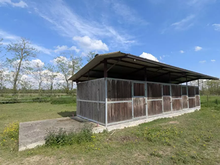 Immagine 13 di Agriturismo in vendita  in Cascina Moretta, 1, 28015 Momo NO, Italia a Momo